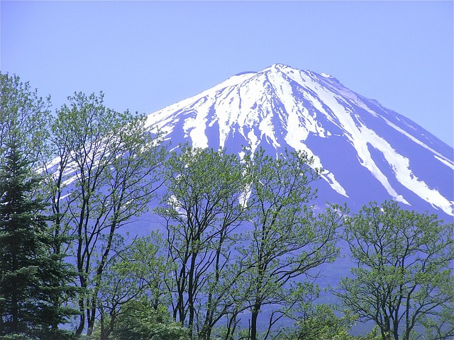 Fujibjerget, World Heritage, Mountain