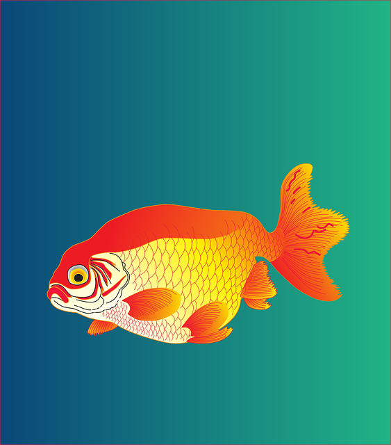 Free Fish Sea vector and picture