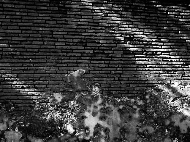 Free Black Wall photo and picture