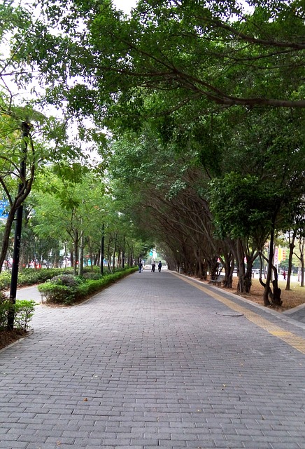 Free A Corner Of The City Shenzhen photo and picture