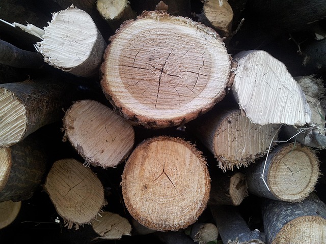 Free Wood Strain photo and picture