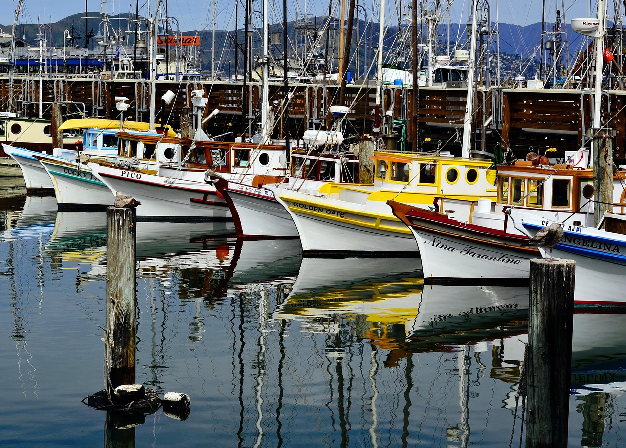 San - free online jigsaw puzzle photo