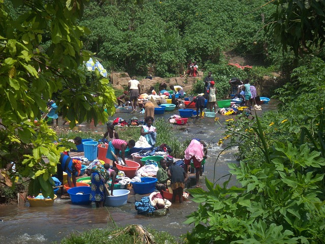 Free Africa River photo and picture