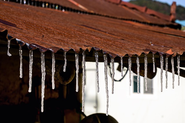 Free Icicle Winter photo and picture