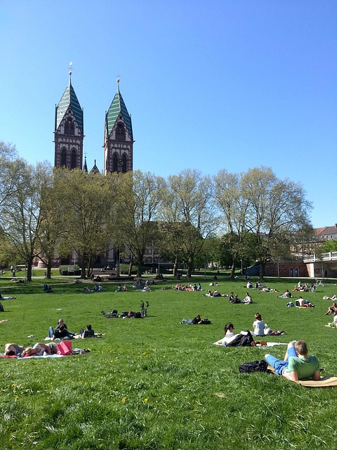 Free Students To Sunbathe photo and picture