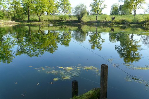 Free Pond Water Reflection photo and picture