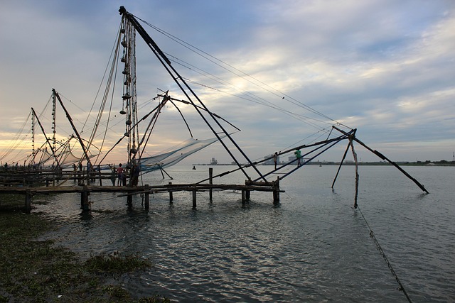 Free Kerala Fishing photo and picture