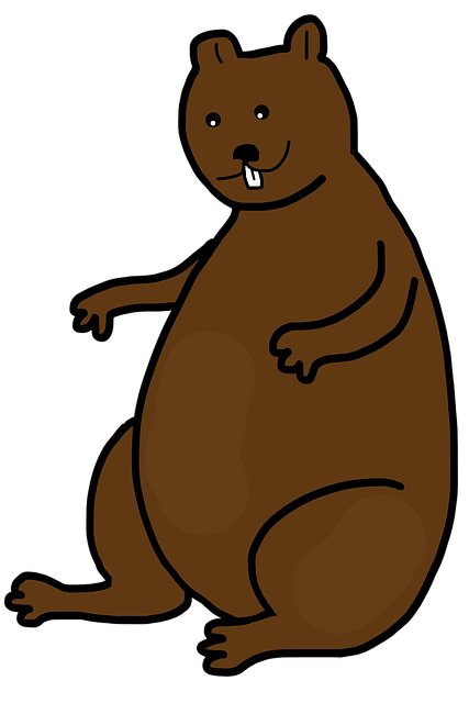 Groundhog, Dyr, Gnaver, Maskot, Træer