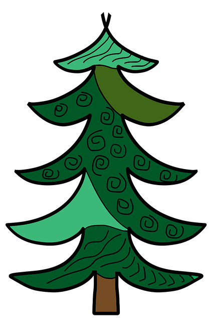 Pine, Skov, Grøn, Natur, Efterår