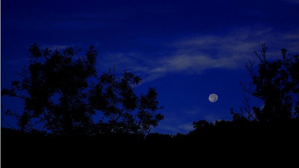 Free Full Moon Full photo and picture