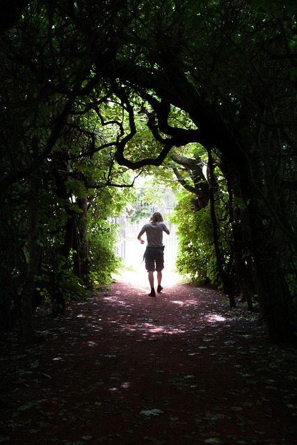 Free Way Tunnel photo and picture