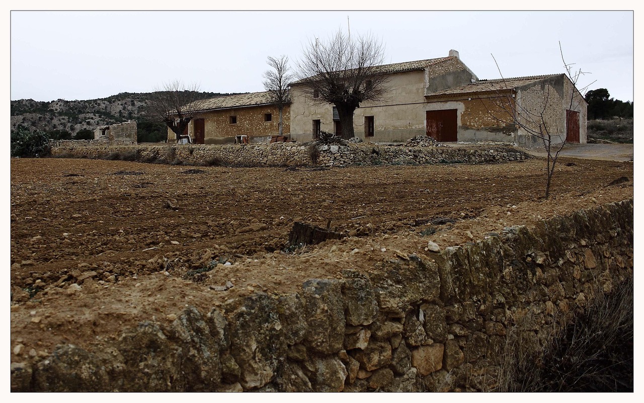 Home - free online jigsaw puzzle photo