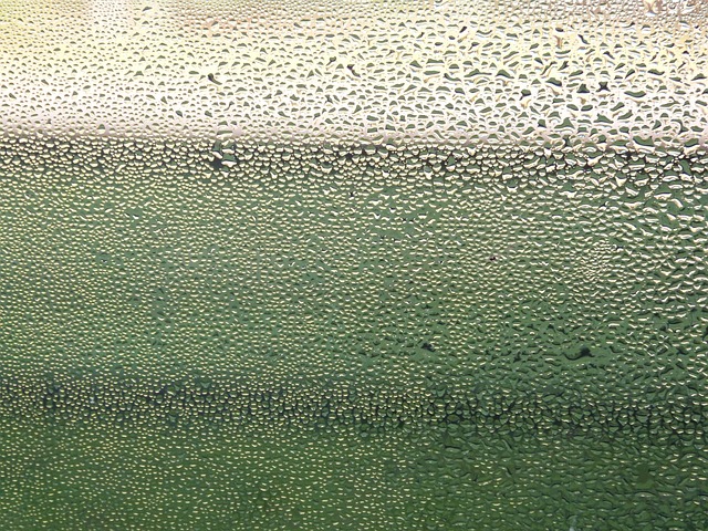 Free Window Rain photo and picture