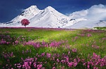 amazing, beautiful, beauty
