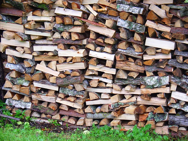 Free Nature Wood photo and picture