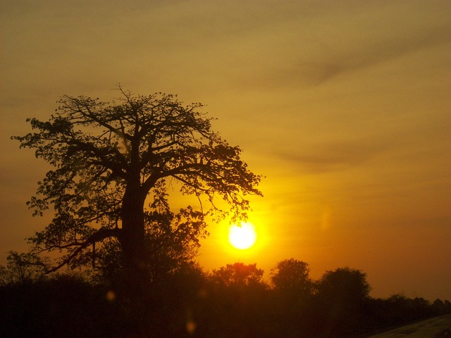 Free Africa Sun photo and picture