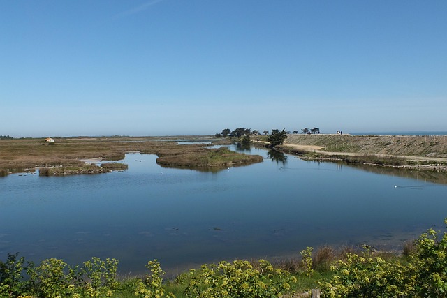 Free Noirmoutier Ornithological Reserve photo and picture
