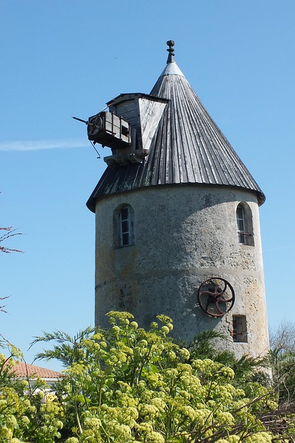 Free Mill Noirmoutier photo and picture