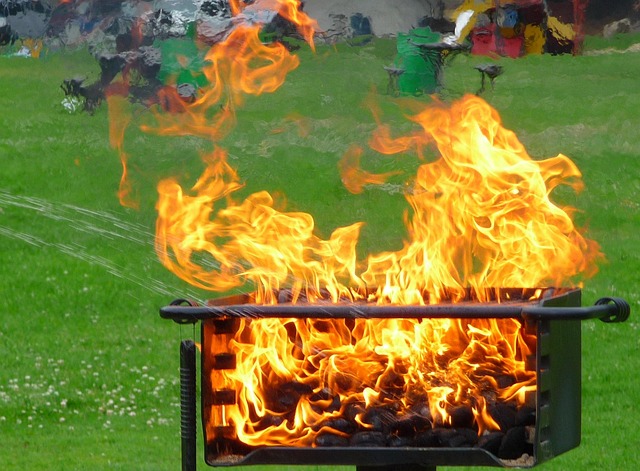 Free Fire Bbq photo and picture