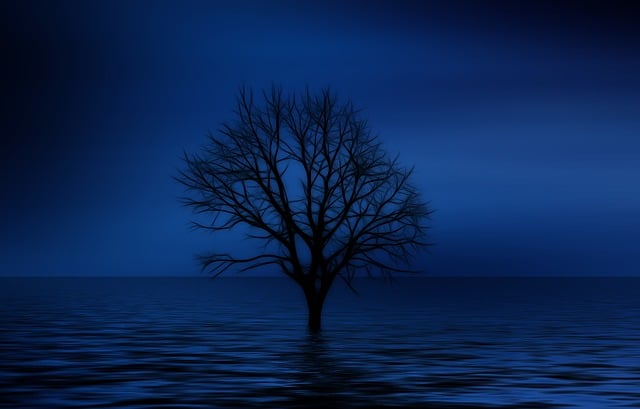 Free tree bald psychology illustration