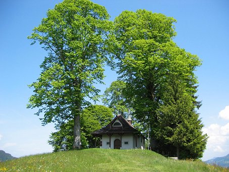 Free Chapel Church photo and picture