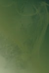 green, olive drab, smoke