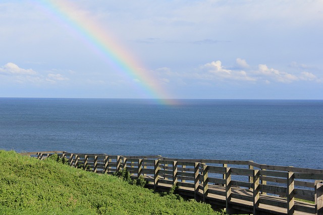 Free Rainbow Grass photo and picture
