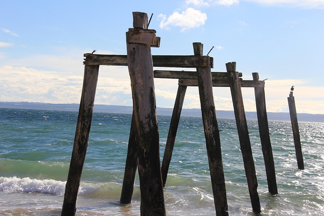 Free Beach Old photo and picture