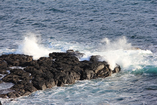 Free Waves Ocean photo and picture