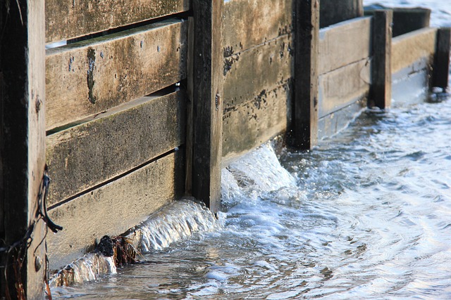 Free Ocean Sea photo and picture