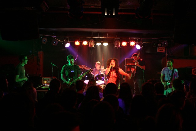 Free Rock Concert photo and picture