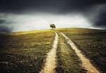 abstract, autumn, backgrounds