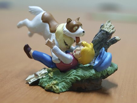 Собака, Мальчик, Веселье, Играть