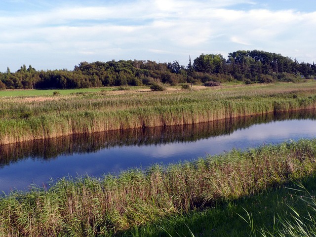 Free Fehmarn Wallnau photo and picture