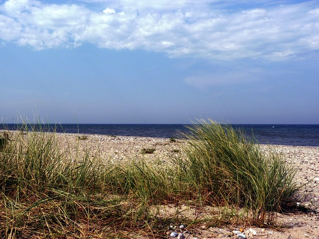Free Fehmarn Fehmarnbelt photo and picture