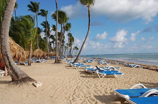 Punta Cana, República Domincana Playas, Palmeras, Punta Cana, República Domincana