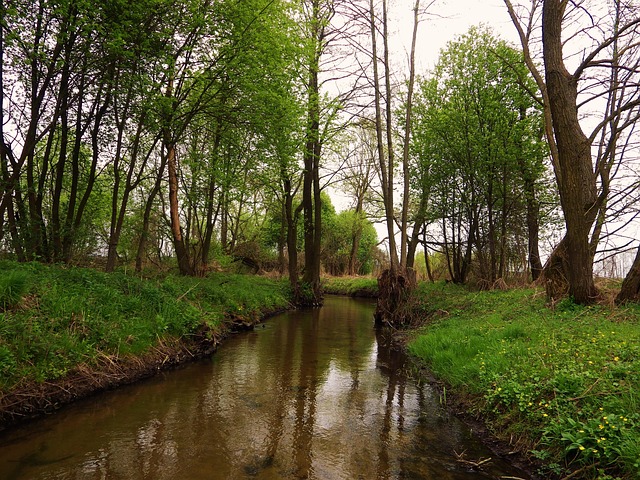 Free River Spring photo and picture