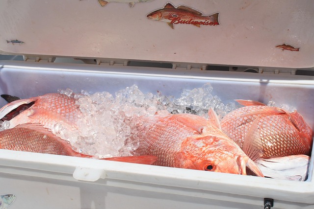 Free Cooler Seafood photo and picture