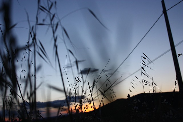 Free Dusk Nature photo and picture