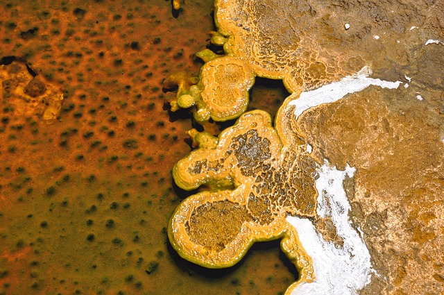 Free Yellowstone Thermal photo and picture