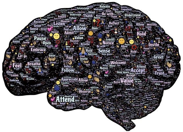 Cerebro, Mente, Mentalidad, Consciencia