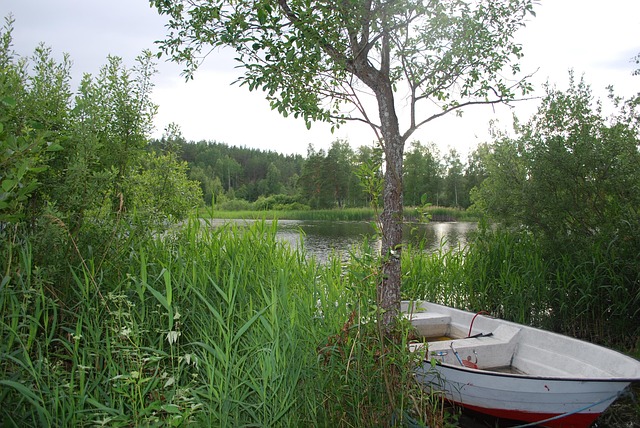 Free Summer Lake photo and picture