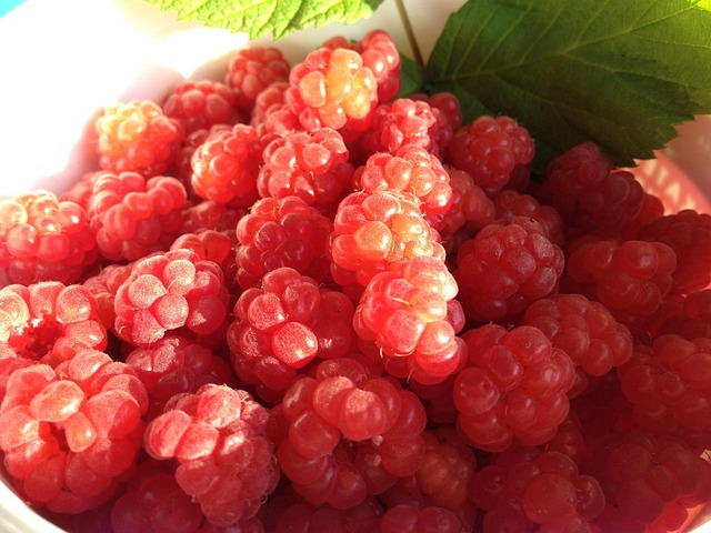 Free Raspberry Berries photo and picture
