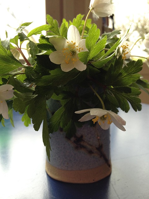Free White Anemones Bouquet photo and picture