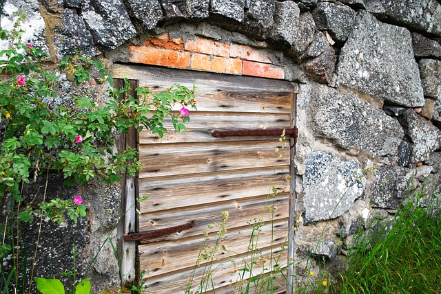 Free Door Stone photo and picture