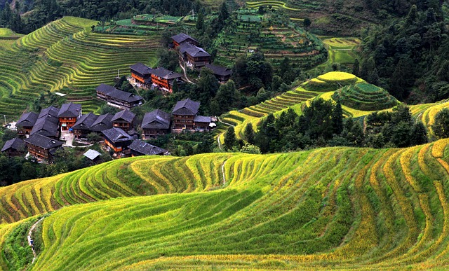 Free Village Asia photo and picture