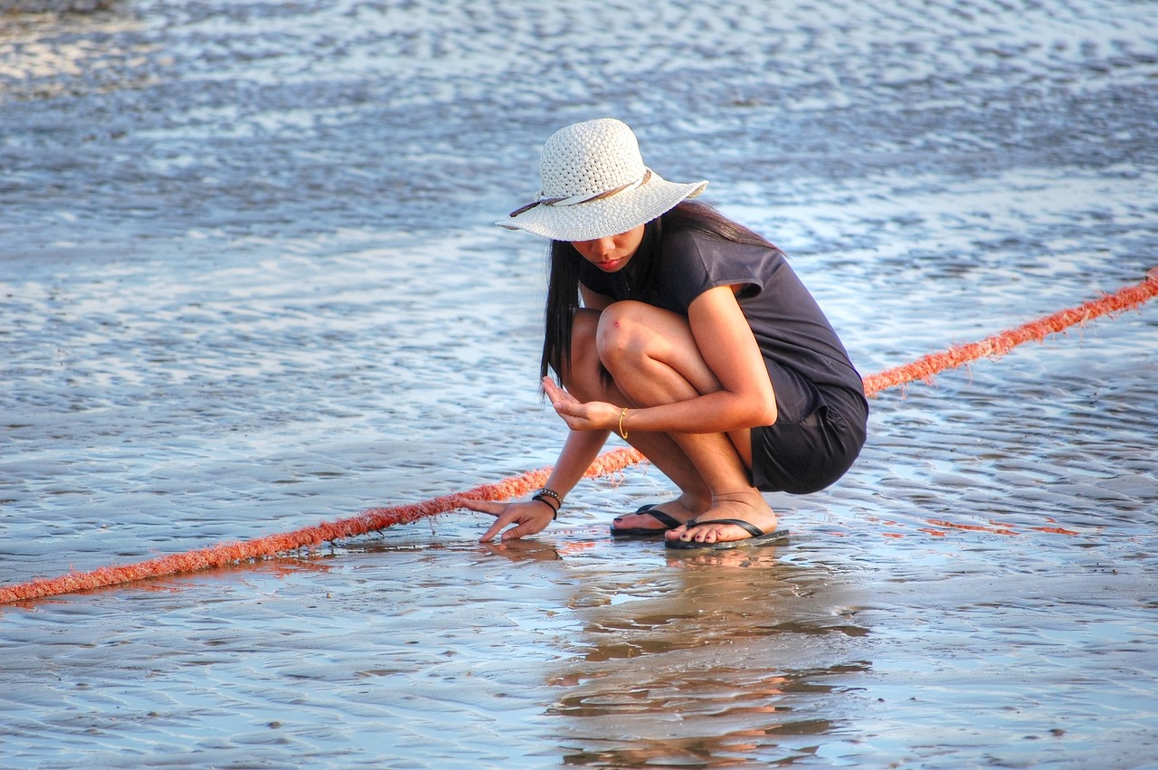 Missing Concha Playa Buscando Conchas - Foto gratis en Pixabay - Pixabay