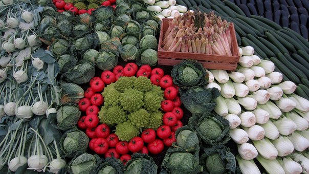 Free Vegetables Fennel photo and picture