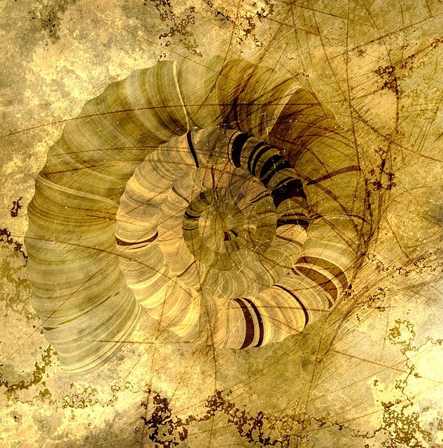 Free dirt structure floor illustration