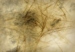 structure, cracks, wave